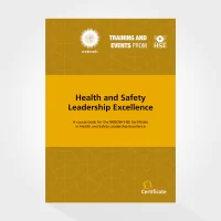 EBook: Health and Safety Leadership Excellence (Edition 2)